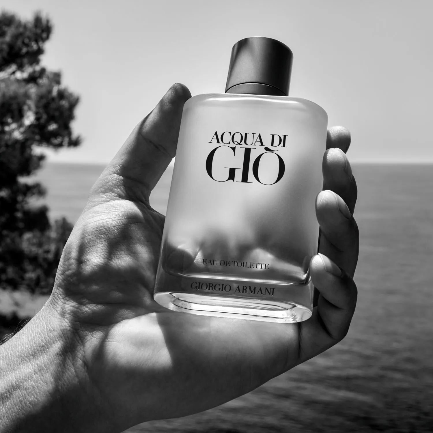 ACQUA DI GIO HOMBRE EDT 100 ML - TESTER