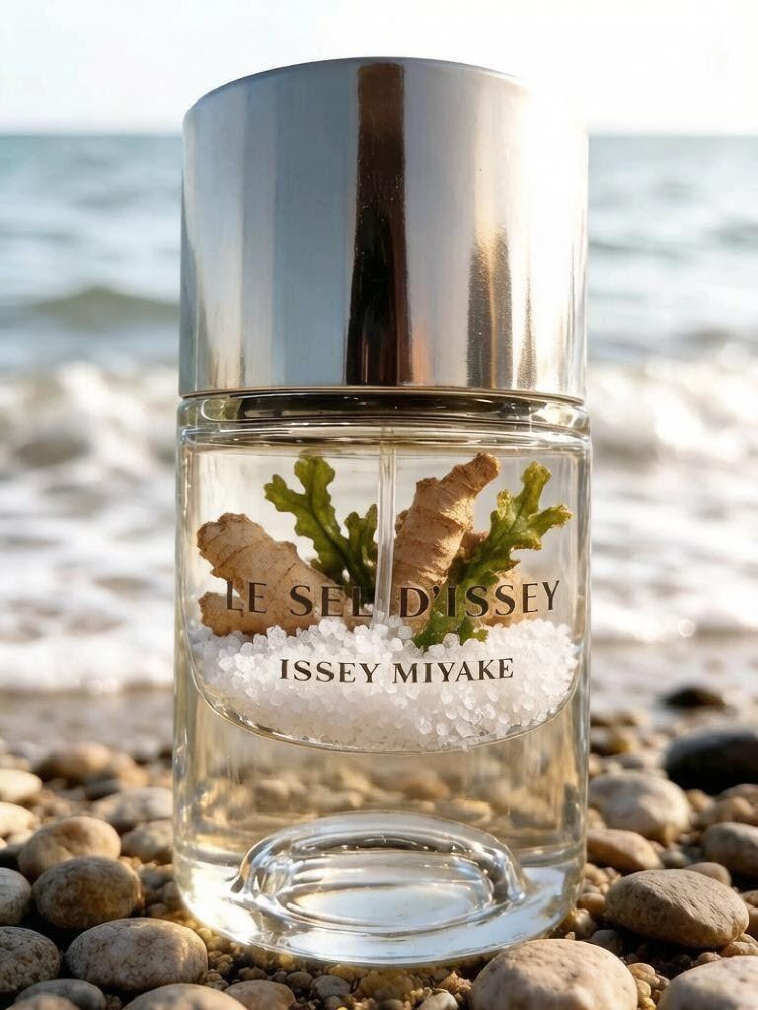 Decants de Issey Miyake Le Sel pour Homme EDP - Imagen 1